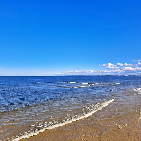 _carpe Diem_ Χέρινγκσντορφ