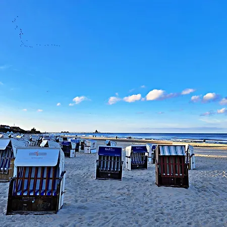 Feriehus _carpe Diem_ Heringsdorf (Usedom)