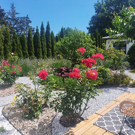 Feriehus _carpe Diem_