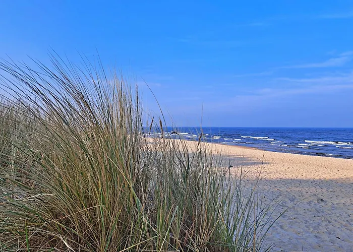 度假居 _carpe Diem_