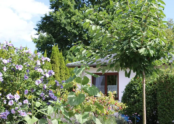 度假居 _carpe Diem_ *